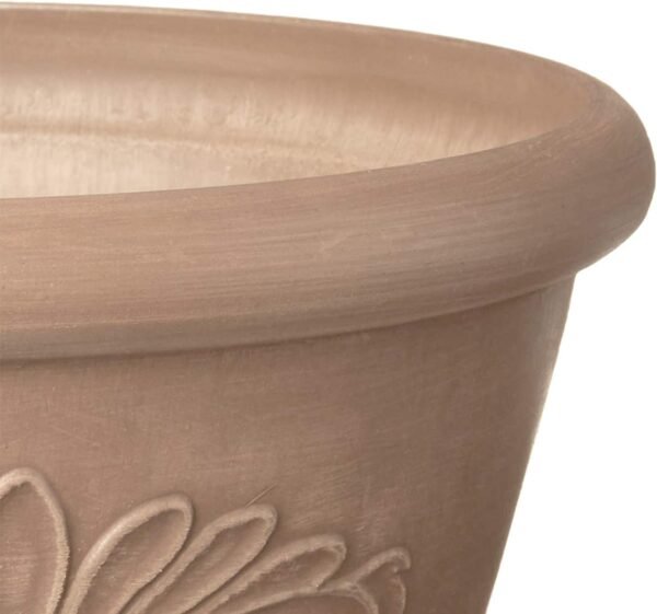 PSW Pot  Shallow Bulb Pan Planter Dish Low Bowl for Succulents - Image 2