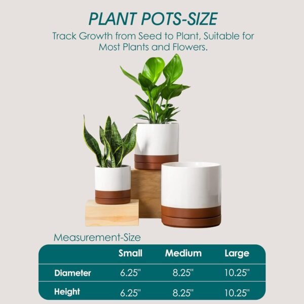 Ceramic Pots for Plants, Plant Pots for Indoor Plants - Image 3