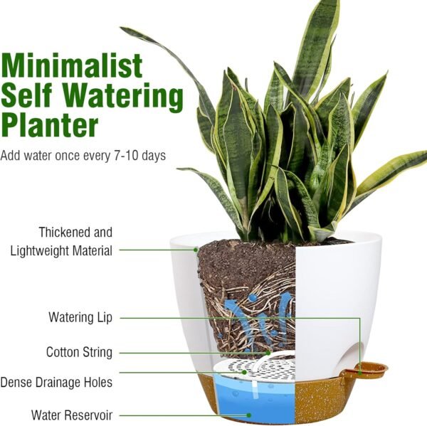 10/9/8 inch Medium Self Watering Pots, Planter with Removable Deep Reservoir - Image 8