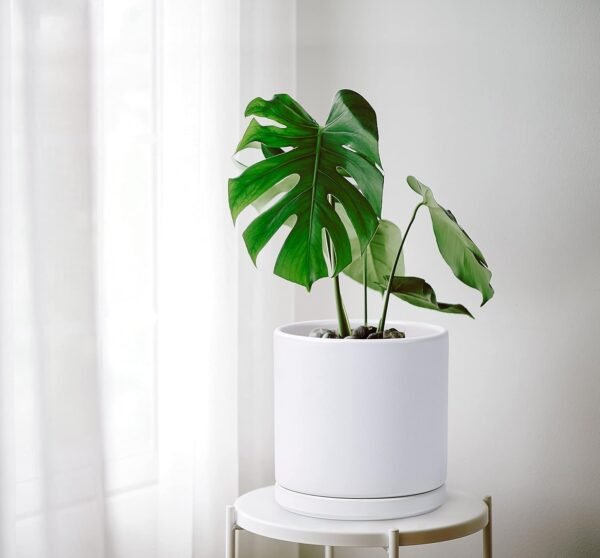 8 Inch Ceramic Planter Pot with Drainage Hole and Saucer - Image 3