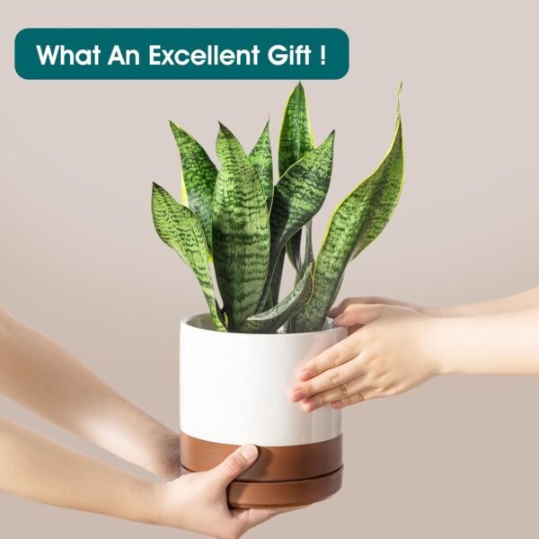 Ceramic Pots for Plants, Plant Pots for Indoor Plants - Image 6