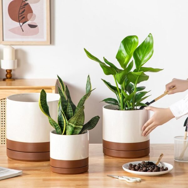 Ceramic Pots for Plants, Plant Pots for Indoor Plants - Image 8