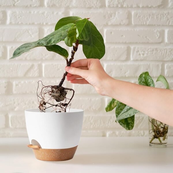 5Pack Self Watering Plant Pots for Lazy People,White Plastic Self Watering Planter - Image 5
