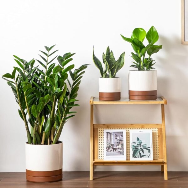 Ceramic Pots for Plants, Plant Pots for Indoor Plants - Image 4