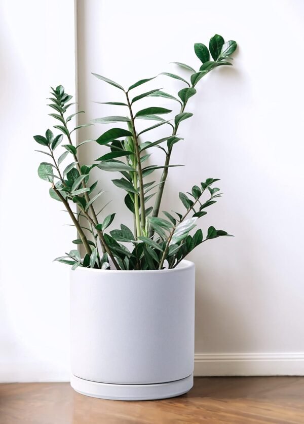 8 Inch Ceramic Planter Pot with Drainage Hole and Saucer - Image 5