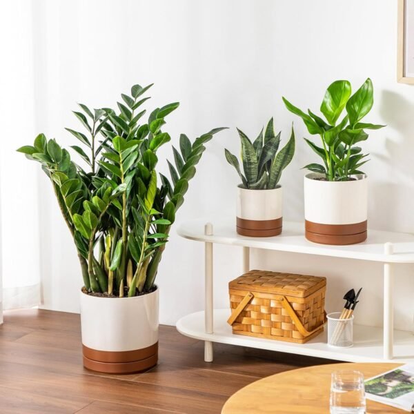 Ceramic Pots for Plants, Plant Pots for Indoor Plants - Image 5