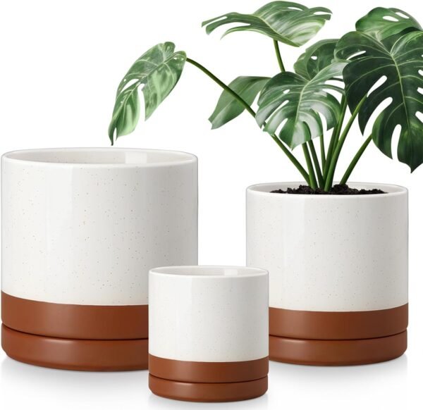 Ceramic Pots for Plants, Plant Pots for Indoor Plants