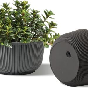 8 Inch Plant Pots, 2 Pack Self Watering Planter with Drainage Hole