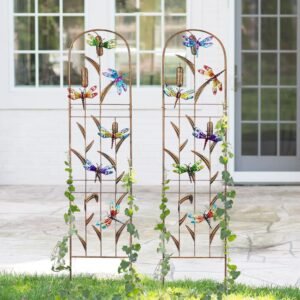2 Pack Metal Garden Trellis with Colorful Dragonfly 60 Inch High Outdoor Decoration