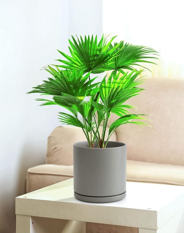 8 Inch & 10 Inch Ceramic Planter Pot for Plants with Drainage Hole - Image 7