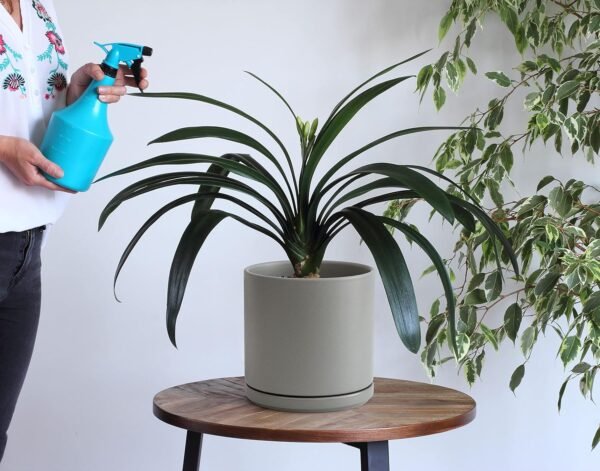 8 Inch & 10 Inch Ceramic Planter Pot for Plants with Drainage Hole - Image 4
