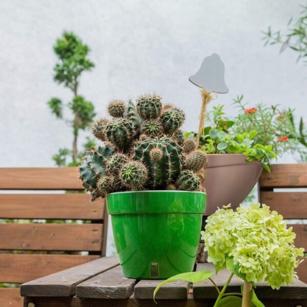 3 Pack - Self Watering Planter - Modern Flower Pot with Water Level Indicator - Image 6
