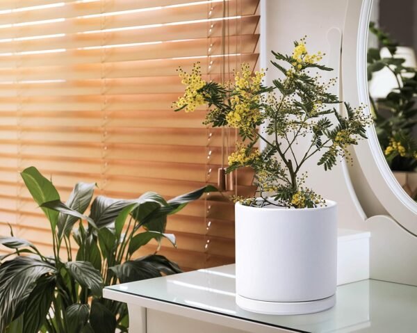 8 Inch Ceramic Planter Pot with Drainage Hole and Saucer - Image 6