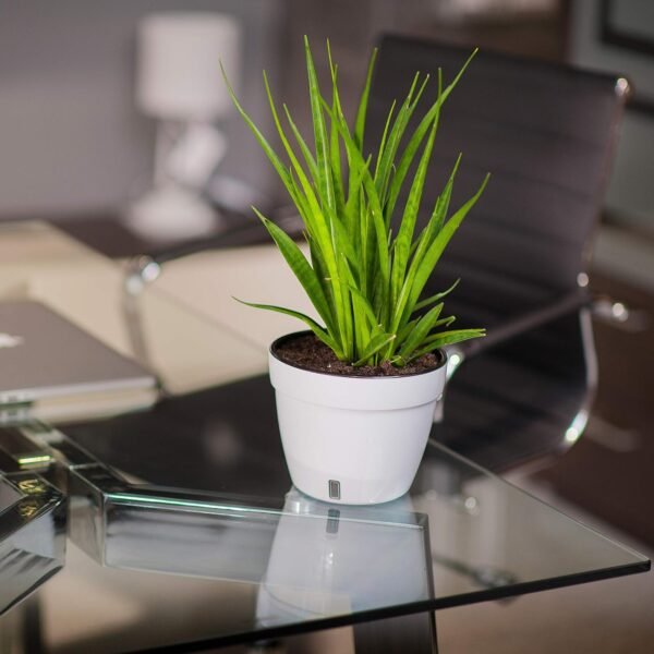3 Pack - Self Watering Planter - Modern Flower Pot with Water Level Indicator - Image 7